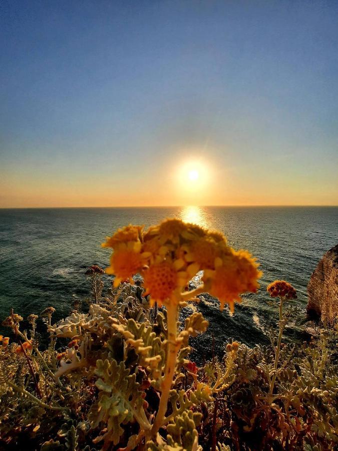 Villa Panorama, Vue Mer Et Falaises D Exception إتريتا المظهر الخارجي الصورة